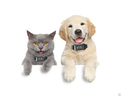 Anti Lost 2 In 1 Pet Dog Training Collar With Gps Position