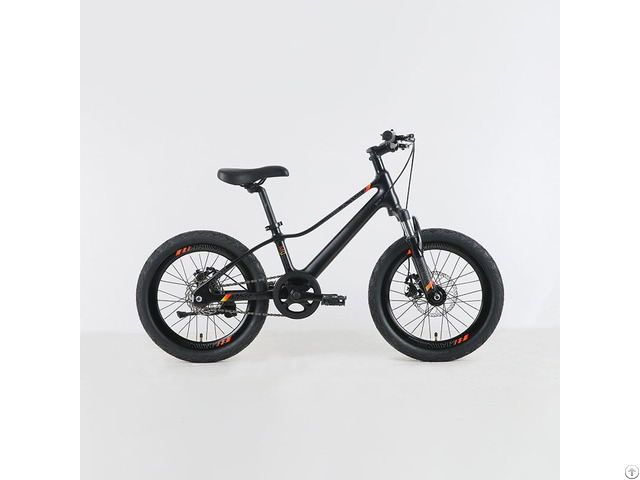 Children S Mountain Bike 24 Inch