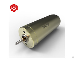 24v High Torque Long Lifetime Permanent Magnetic Coreless Brushed Dc Motor For Precision Instrument