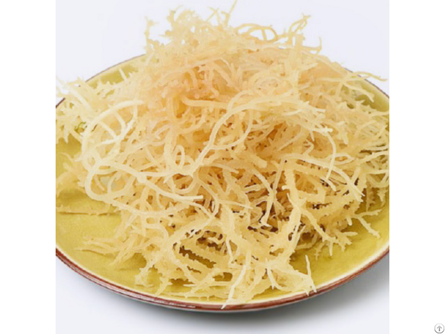 Sea Moss From Vietnam