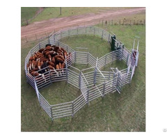 Cattle Fence Supplier
