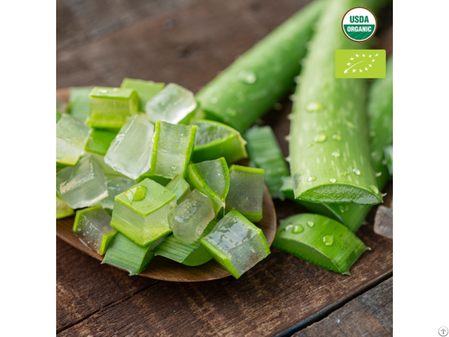 Good Price Fresh Diced Aloe Vera