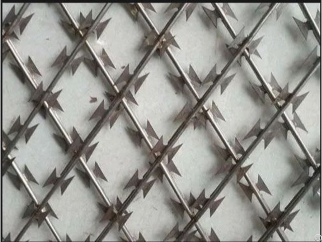 Pusheng Razor Wire Fence