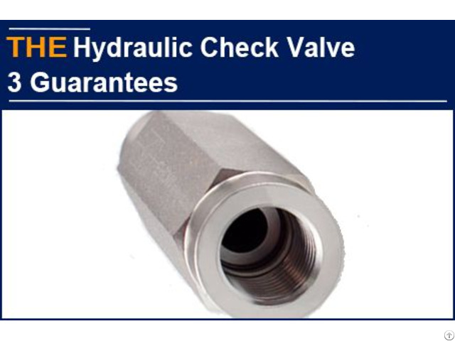 Hydraulic Check Valve 3 Guarantees