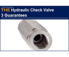 Hydraulic Check Valve 3 Guarantees