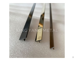 Stainless Steel T Profile Patti