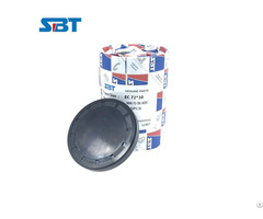 Nbr Rubber Industrial Oil Seal