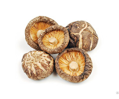 Vacuum Dried Whole Shiitake Mushrooms With High Quality