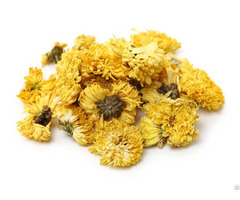 Supply Dried Chrysanthemum From Viet Nam Flower Tea