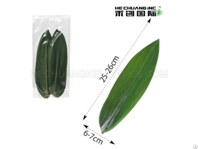 Bamboo Leaves Indocalamus 25 27cm In Length