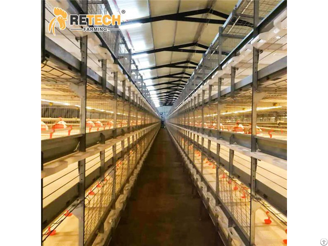 Best Sale Broiler Farm Poultry Equipment Chicken Cage In Nigeria