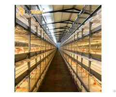 Best Sale Broiler Farm Poultry Equipment Chicken Cage In Nigeria