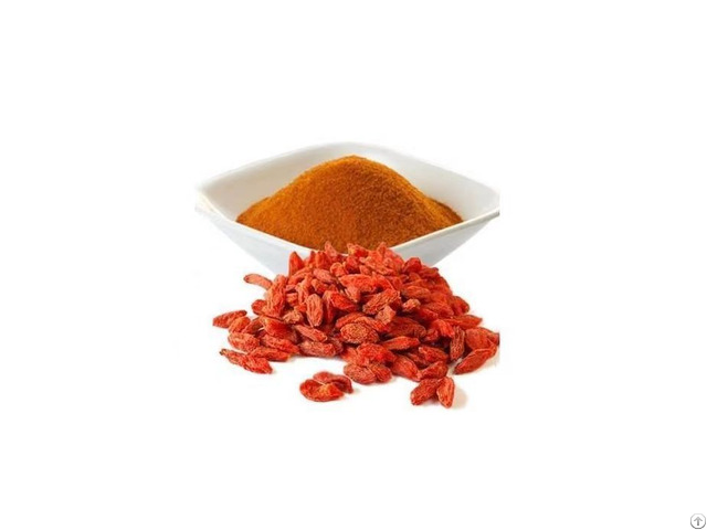 Hot Item Goji Berry Fruit Juice Powder