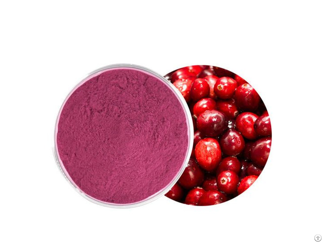 Cranberry Fruit Juice Powder