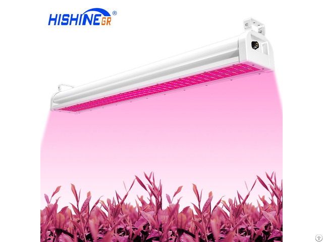 Hishine Group Pg01 Full Spectrum 200w Garden Greenhouses Led Grow Lights For Indoor Plants