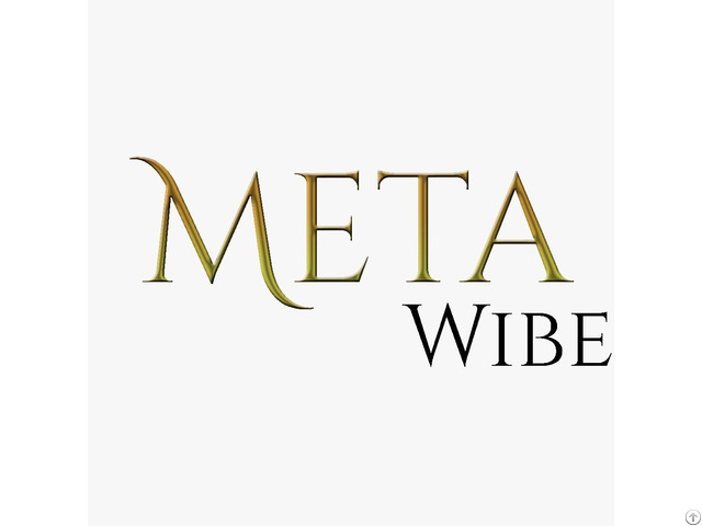 Meta Wibe Digital Marketing Agency