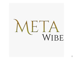 Meta Wibe Digital Marketing Agency