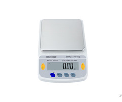 Digital High Presicion Jewelry Balance Weighing Scales Manufacturer