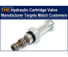 Hydraulic Cartridge Valve Manufacturer Targets Suitable Match Customers