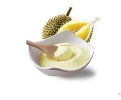 Durian Fruit Juice Powder