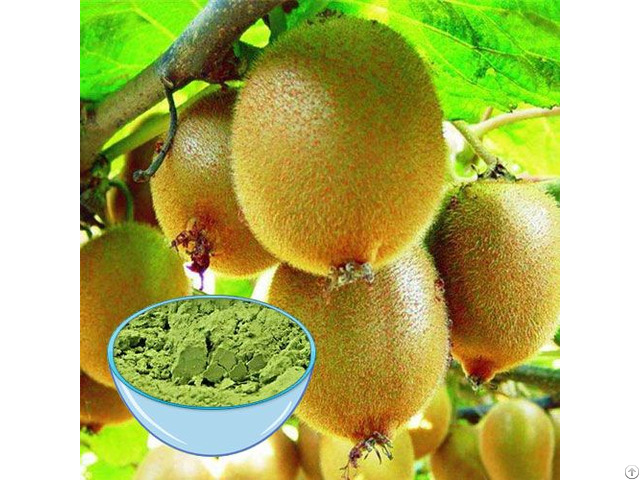 Kiwi Fruit Juice Powder