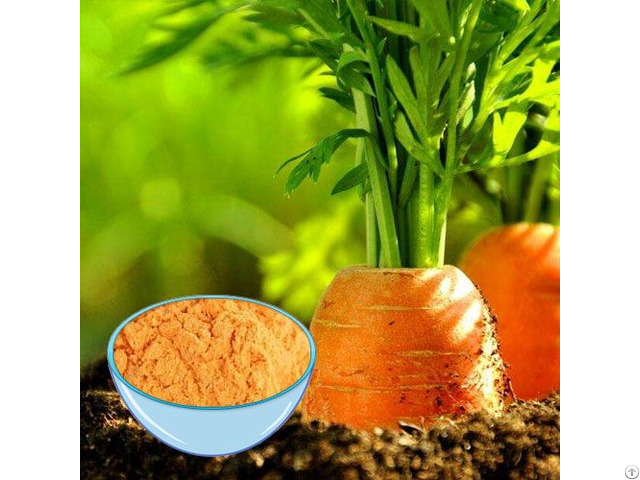 Dehydrated Carrot Powder