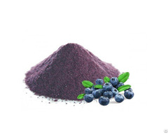 Blueberry Dietary Supplement Ingredients