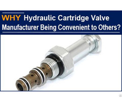 Hydraulic Cartridge Valve Manufacturer Being Convenient To Others Why