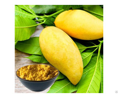 Best Mango Fruit Powder