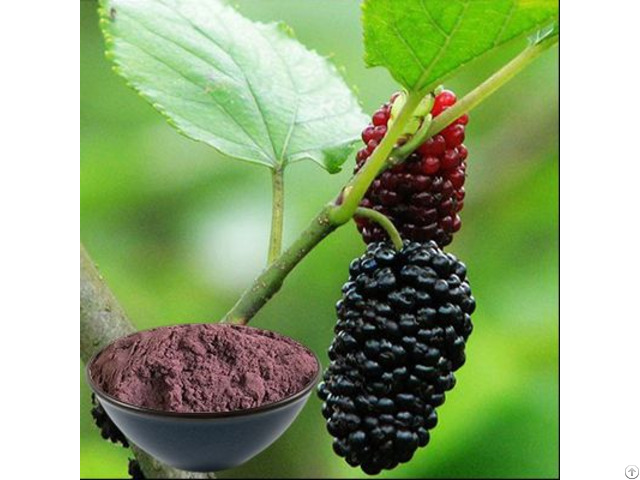 Buy Best Mulberry Juice Powder