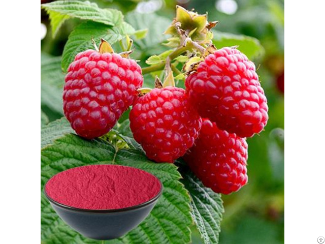 Raspberry Fruit Juice Powder