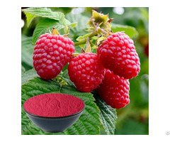 Raspberry Fruit Juice Powder