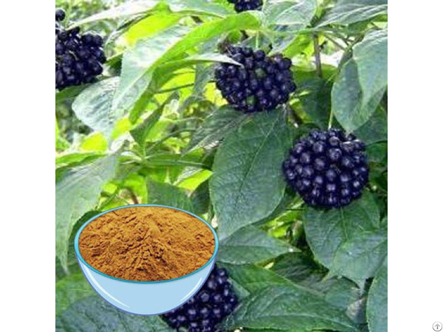 Eleuthero Extract