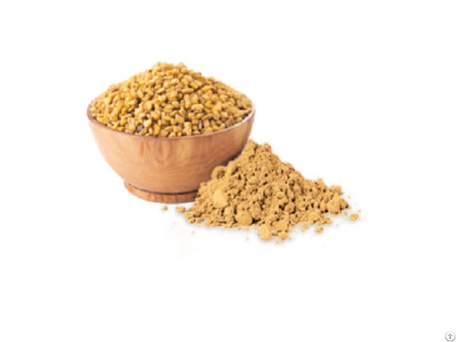 Fenugreek Seed Extract Powder