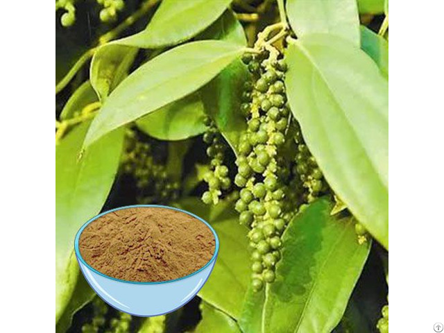 Black Pepper Extract Powder