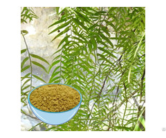 White Willow Bark Extract