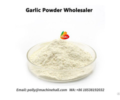 Bulk High Quality Garlic Powder For Sale