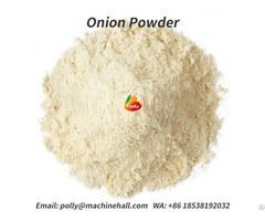100% Pure Onion Powder Wholesale Price