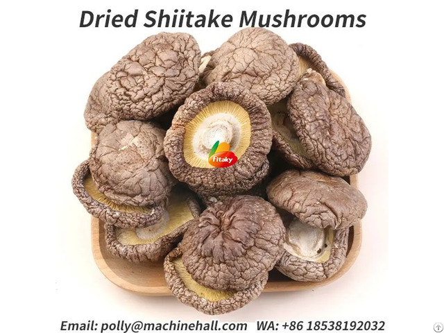 Organic Dried Shiitake Mushrooms Factory Price