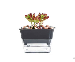 Plastic Square Self Watering Flower Pot