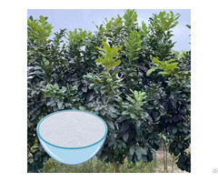 Hot Selling Grape Fruit Extract