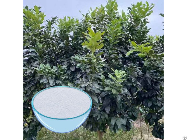 Buy Grape Fruit Extract Powder