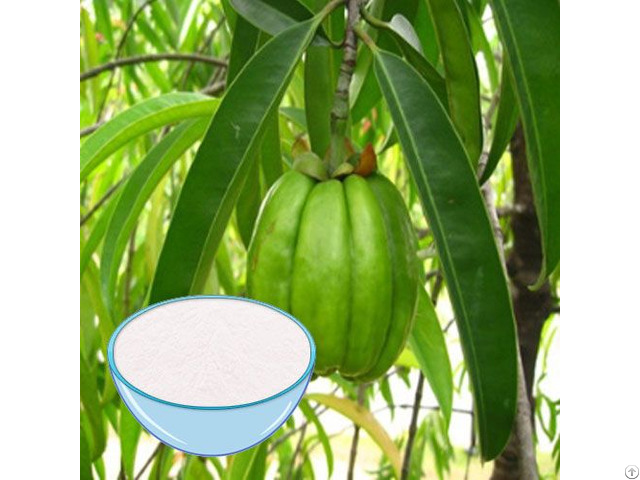 Popular Garcinia Cambogia Extract