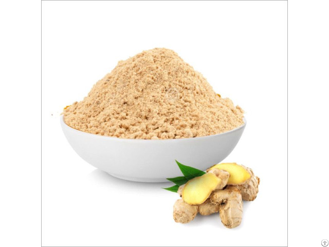 Ginger Extract Powder