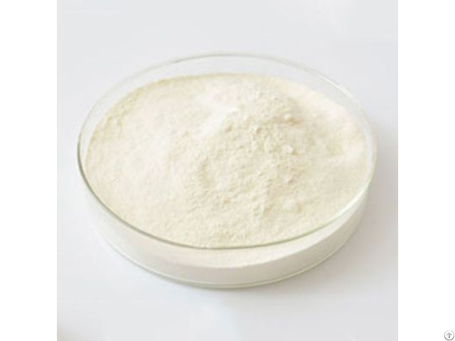 Buy Chondroitin Sulfate Sodium