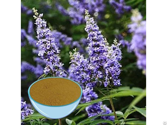 Vitex Extract Powder Manufacturer