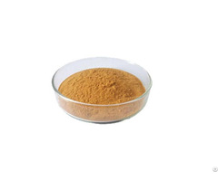 Inulin Extract