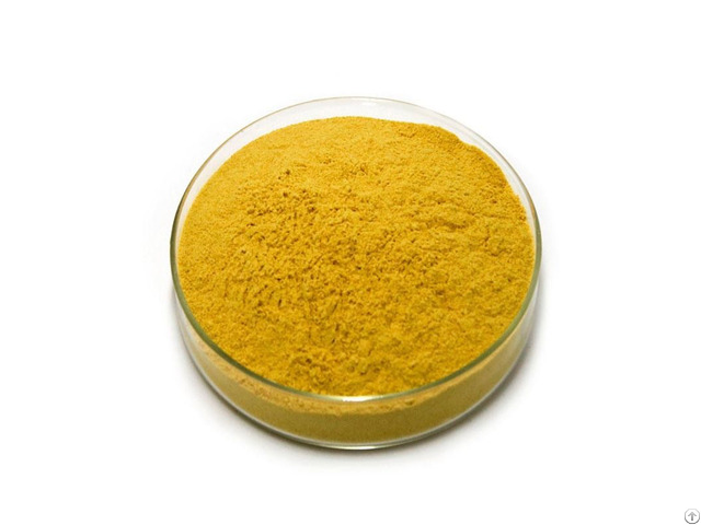 Turmeric Extract Powder