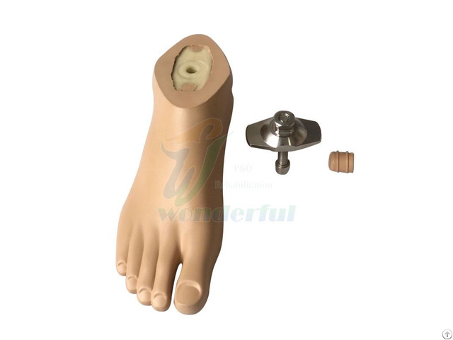 Waterproof Non Slip Sach Foot With Plastic Core And Adapter