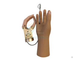 Cable Control Mechanical Hand Prostheses For Be